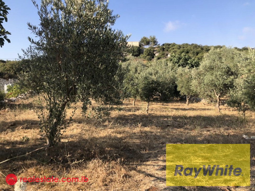 Land for sale in Batroun 2500sqm , RWBRWB137H Land in Batroun